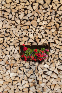 Woodpile with geraniums, Garmisch, Garmisch-Partenkirchen, Upper Bavaria, Bavaria, southern Germany, Germany, Europe Woodpile with geraniums, Garmisch, Garmisch-Partenkirchen, Upper Bavaria, Bavaria, southern Germany, Germany, Europe